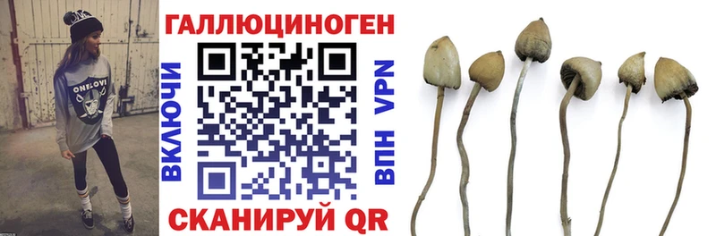 Купить где  Бавлы  Галлюциногенные грибы MAGIC MUSHROOMS 